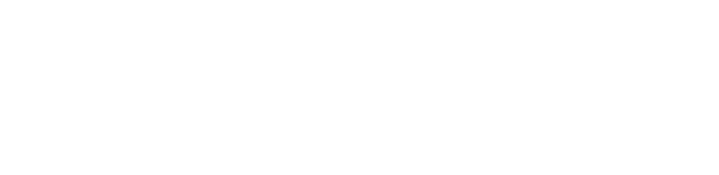 Destia Logo